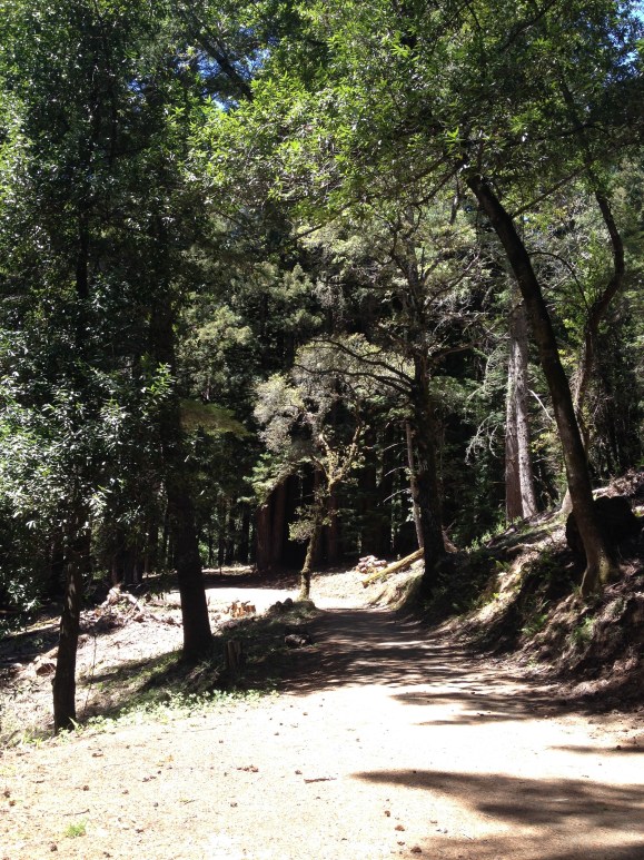 Barkley Field - Woodside, CA  