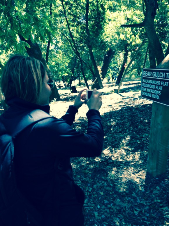 Making sure we are on the right path