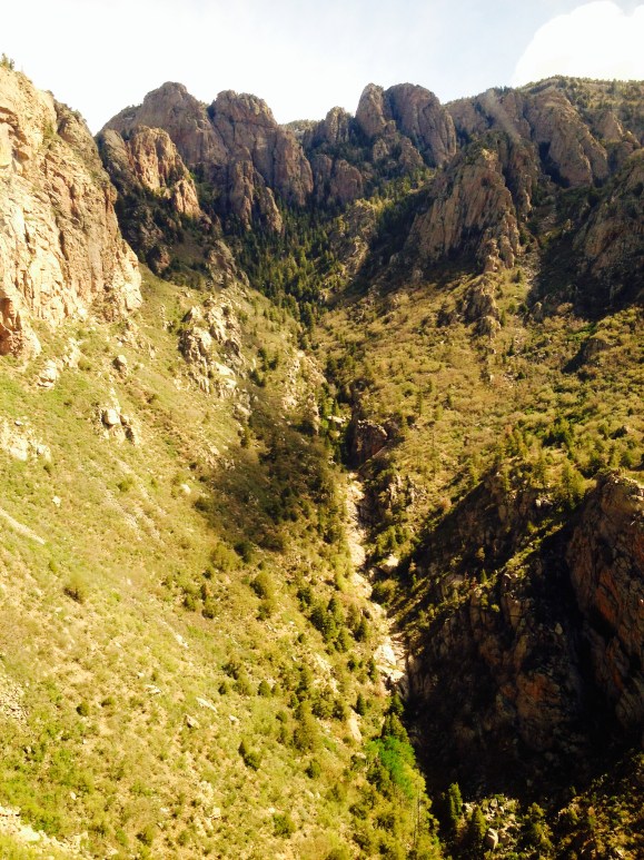 Top of Sadia's Peak in Albuquerque, New Mexico (10,300 ft, about 7 hours hike)